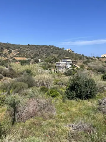 Οικιστικό 4180τ.μ. προς πώληση φωτογραφία 5400642