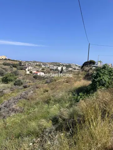 Οικιστικό 4180τ.μ. προς πώληση φωτογραφία 5400643