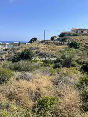 Οικιστικό 4180τ.μ. προς πώληση φωτογραφία 5400643