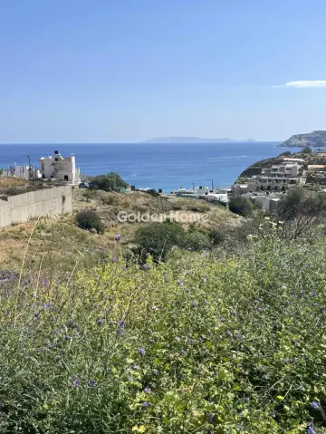 Οικιστικό 4180τ.μ. προς πώληση φωτογραφία 5400645