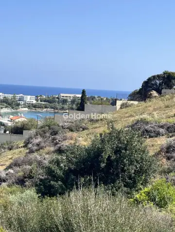 Οικιστικό 4180τ.μ. προς πώληση φωτογραφία 5400646