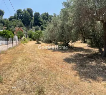 Οικιστικό 10800τ.μ. προς πώληση φωτογραφία 4958719