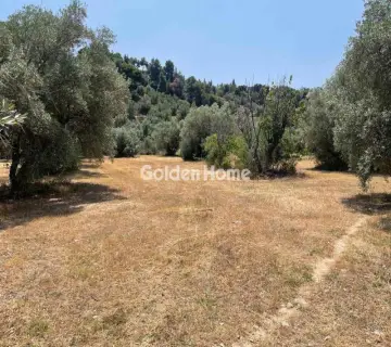 Οικιστικό 10800τ.μ. προς πώληση φωτογραφία 4958720