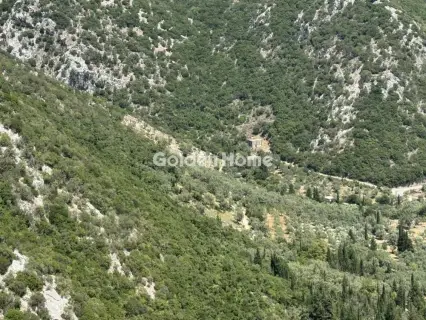 住宅 26000m<sup>2</sup> for sale photo 14