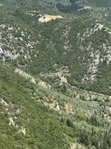 住宅 26000m<sup>2</sup> for sale photo 15