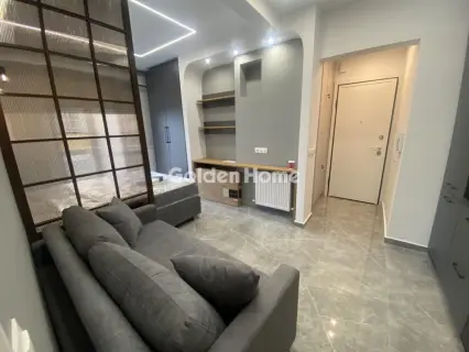 Studio 35m<sup>2</sup> for rent photo 7