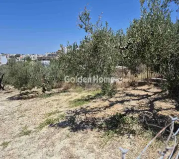 Residential 1520m<sup>2</sup> for sale photo 2