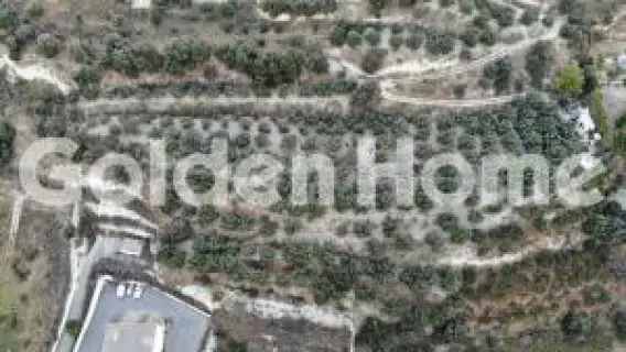 Professional Plot 18000m<sup>2</sup> for rent photo 2