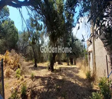 住宅 562m<sup>2</sup> for sale photo 4963994