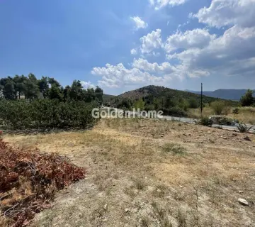 Οικιστικό 2500τ.μ. προς πώληση φωτογραφία 4961237