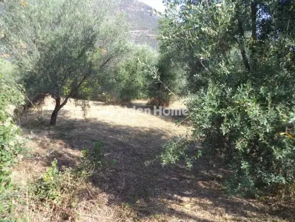 Residential 973m<sup>2</sup> for sale photo 4