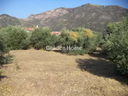 Residential 973m<sup>2</sup> for sale photo 3