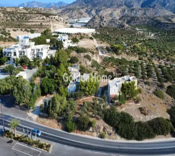 Golden Home Property Image