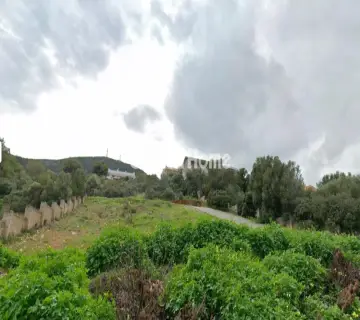 Οικιστικό 686τ.μ. προς πώληση φωτογραφία 4964107