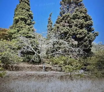 Residential 5000m<sup>2</sup> for sale photo 4974796