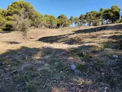 Residential 8916m<sup>2</sup> for sale photo 4966592