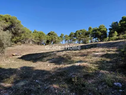 Residential 8916m<sup>2</sup> for sale photo 4966594