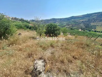 Residential 1000m<sup>2</sup> for sale photo 5