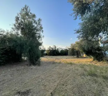 Residential 931m<sup>2</sup> for sale photo 4966382