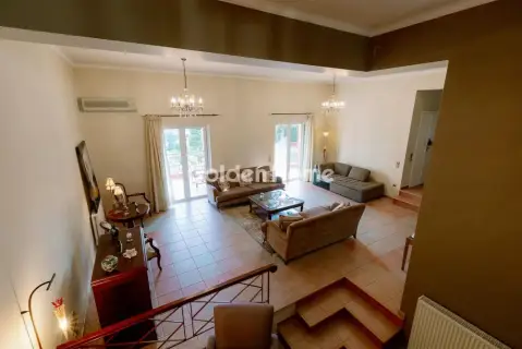 Μονοκατοικία 416τ.μ. προς πώληση φωτογραφία 4