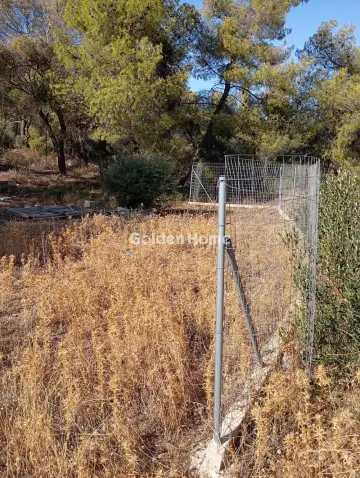 住宅 284m<sup>2</sup> for sale photo 2