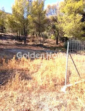住宅 284m<sup>2</sup> for sale photo 3