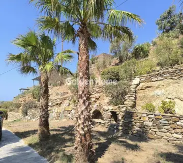 独立复式小屋 350m<sup>2</sup> for sale photo 4971683