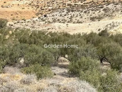 Residential 5380m<sup>2</sup> for sale photo 4