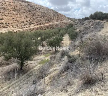 Residential 4380m<sup>2</sup> for sale photo 1