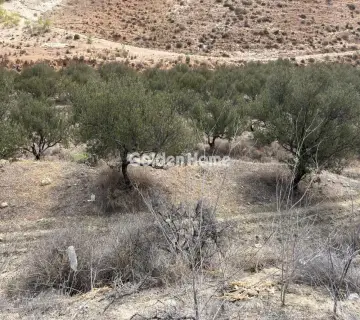Residential 4380m<sup>2</sup> for sale photo 6