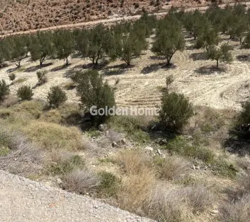 Residential 4380m<sup>2</sup> for sale photo 23