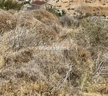 Residential 4380m<sup>2</sup> for sale photo 24