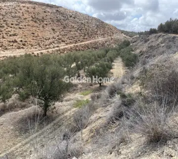 Residential 4000m<sup>2</sup> for sale photo 11