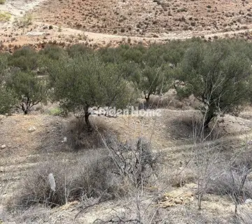 Residential 17000m<sup>2</sup> for sale photo 4968857