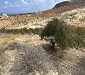 Residential 4000m<sup>2</sup> for sale photo 2