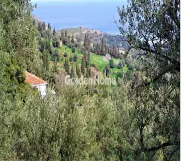 Residential 1410m<sup>2</sup> for sale photo 4970131
