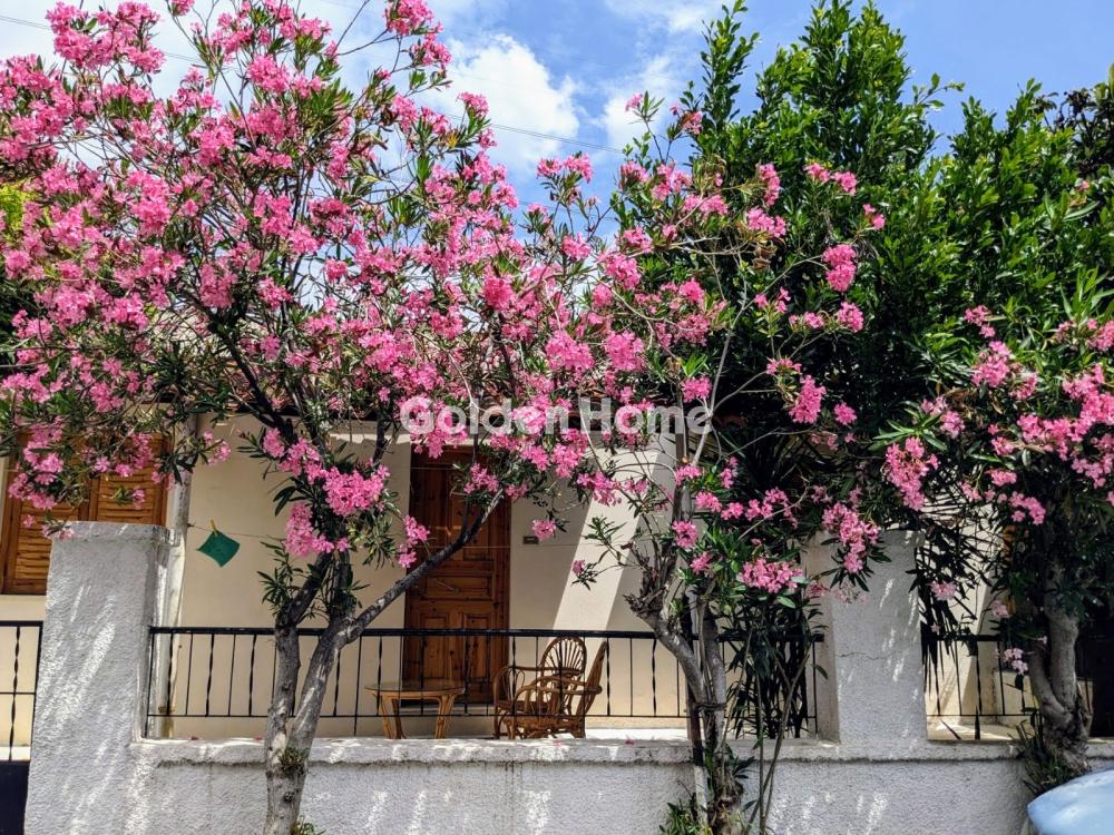 Μονοκατοικία 165τ.μ. προς πώληση φωτογραφία προβολής