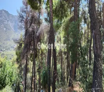 Οικιστικό 825τ.μ. προς πώληση φωτογραφία 4972917