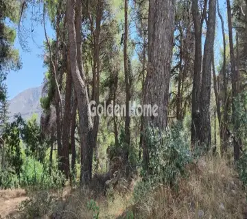 Οικιστικό 825τ.μ. προς πώληση φωτογραφία 4972919