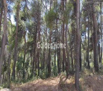 Οικιστικό 825τ.μ. προς πώληση φωτογραφία 4972920