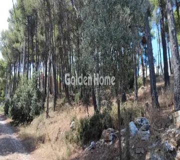 Οικιστικό 825τ.μ. προς πώληση φωτογραφία 4972920