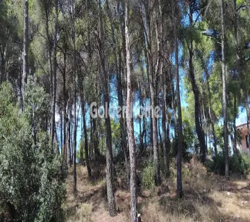 Οικιστικό 825τ.μ. προς πώληση φωτογραφία 4972921