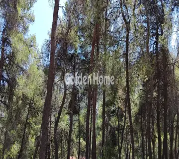 Οικιστικό 825τ.μ. προς πώληση φωτογραφία 4972922