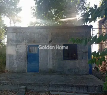 Independent Building 800m<sup>2</sup> for sale photo 4980994