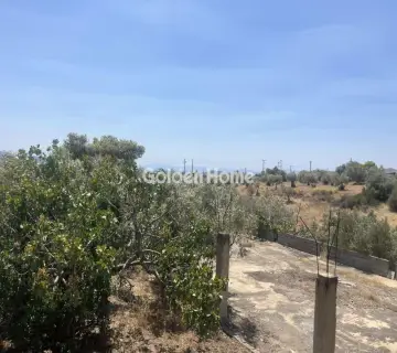 Professional Plot 6000m<sup>2</sup> for sale photo 1