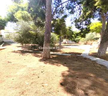 Μονοκατοικία 364τ.μ. προς πώληση φωτογραφία 2