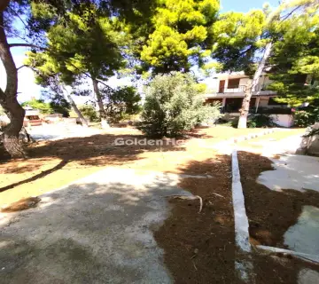 Μονοκατοικία 364τ.μ. προς πώληση φωτογραφία 3