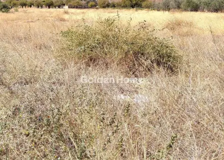 Residential 1680m<sup>2</sup> for sale photo 4972605