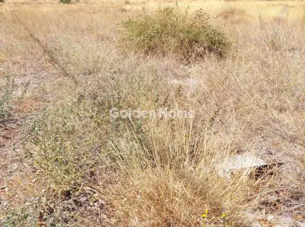 Residential 1680m<sup>2</sup> for sale photo 4972606
