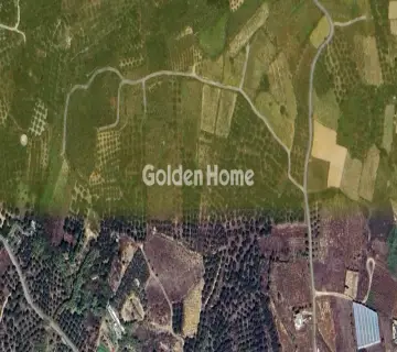 Residential 4000m<sup>2</sup> for sale photo 1
